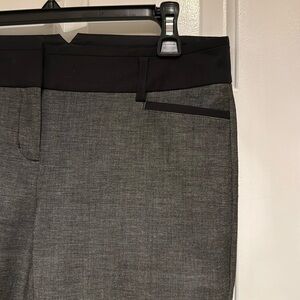 Express Columnist Dress Pants